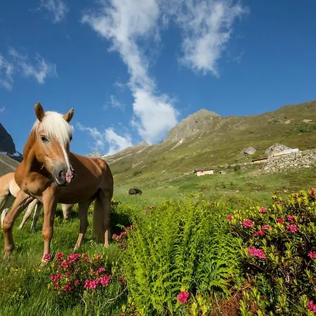 Ξενοδοχείο Bergwelt 4*