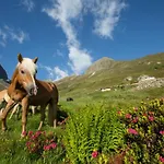 Отель Bergwelt 4*
